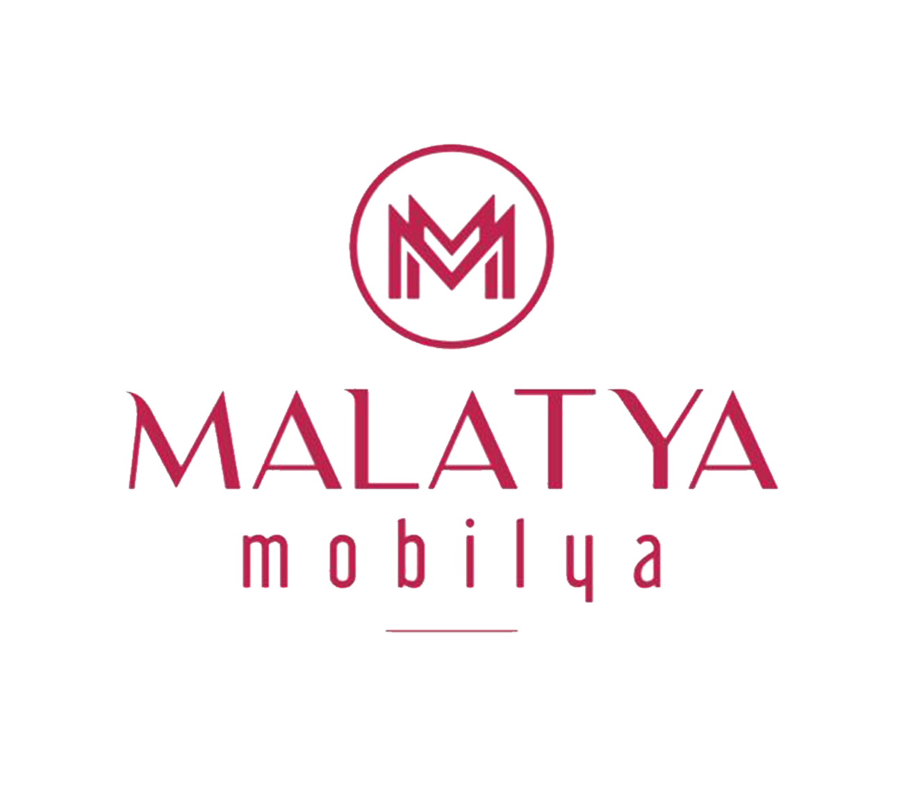 E-Marmara Bilişim